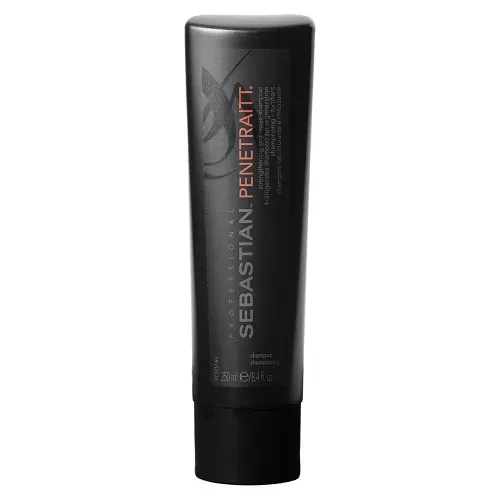 Shampoo para cabello dañado Penetraitt 250ml