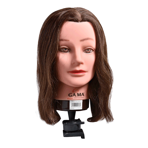 CABEZA DE ESTUDIO GA.MA